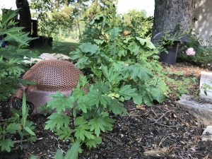 Near NE IGS12 Sub – Bild 4