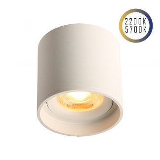Emilum LED Ceiling Spot 24V, 8W, 2200K/5700K, CRI90 (Tuneable White, CCT)